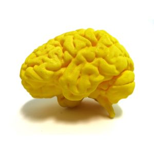 yellow brain